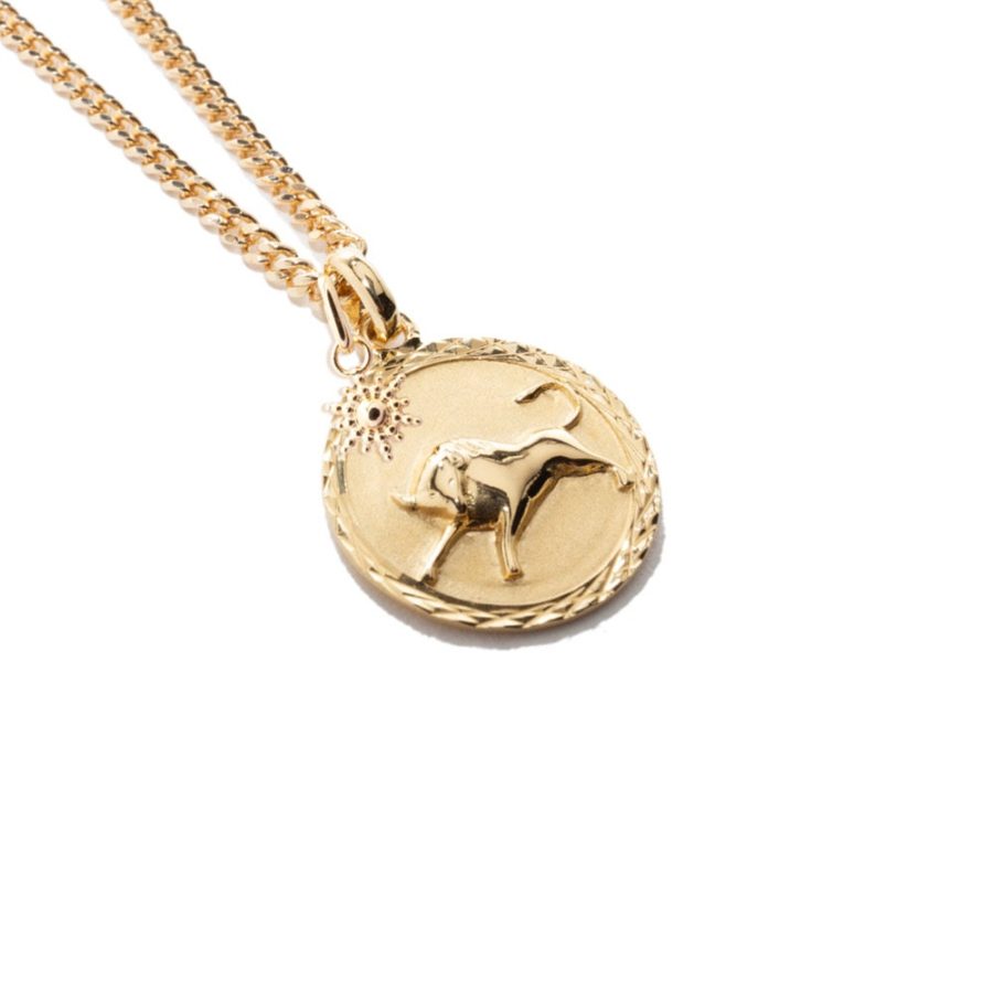 Capricorn / Steinbock